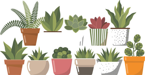 Flat minimalist illustration of potted houseplants collection, decorative succulents and greenery, modern indoor plant design, stylish botanical home decor vector