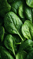Fototapeta premium Fresh green spinach leaves covered with water droplets, closeup view, healthy food