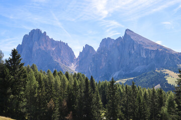 Obraz premium Alpine forest meets the majestic Dolomites in Alpe di Siusi’s midday light