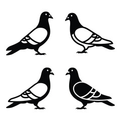 Four silhouetted pigeons in dynamic poses artistic graphic representation of avian life silhouette