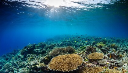 Fototapeta premium coral reef ocean floor and natural sunlight underwater seascape pacific ocean french polynesia