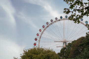 Fototapeta premium Ferris Wheel against Blue Sky and Green Trees