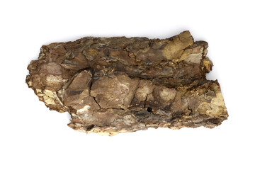 Pieces of pine bark on a white background, natural bark texture