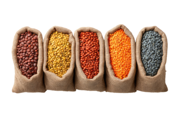 Five burlap bags filled with various colored lentils