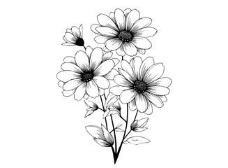 a black and white drawing of a bouquet of flowersblack, daisy, design, flower, illustration, stem, white 