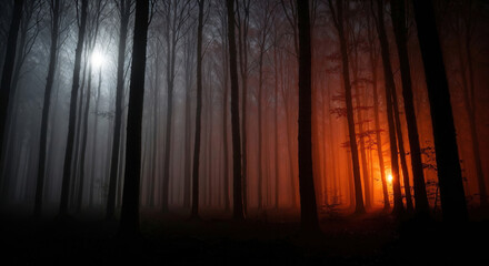Misty Forest with Dual Lights and Eerie Fog