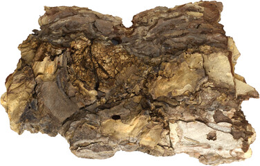 Pieces of pine bark, natural bark texture