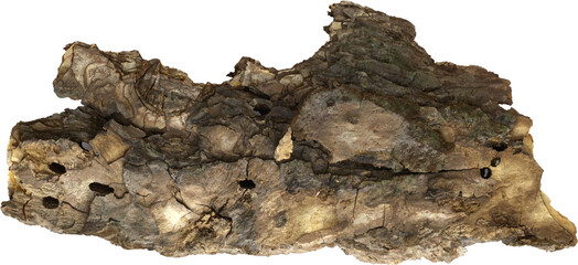 Pieces of pine bark, natural bark texture