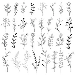 Hand drawn spring flowers doodle Set  flowers hand drawn vector