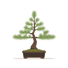 Delicate bonsai tree in a simple pot, a symbol of patience and natural beauty.