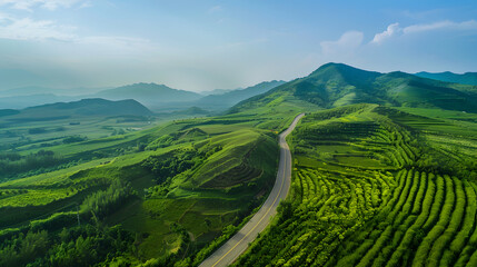 Winding road through green rolling hills