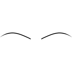 Obraz premium Gentle Curved Eyebrows, Eyebrow Thin and Slender Shape