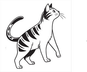 Cat Vector 
