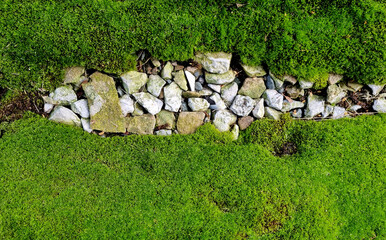 Spring Green moss close-up от gravel for design background. Selective focus