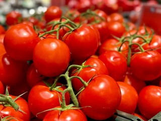 cherry tomatoes on the vine