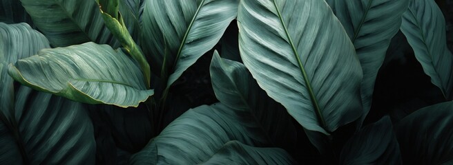Lush Greenery A Symphony of Tropical Foliage Delightfully Refreshing Botanical Beauty Inviting Nature's Serenity Soothing Green Tones Calming Visual. Generative AI