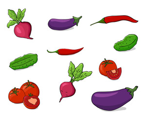 Bright hand-drawn vegetables with tomato, cucumber, chili pepper, beetroot, and eggplant