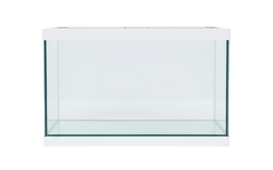 Empty square aquarium with a white frame