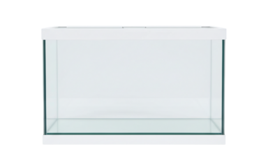 Empty square aquarium with a white frame