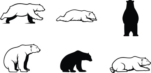 Bear walking sitting lying vector illustrations showing black silhouette and white line cartoon wildlife animal poses for nature design content