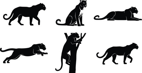 Set of black panther silhouettes in various poses including walking, climbing, leaping, sitting, lying down, vector animal illustration pack © Asha Creatives