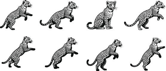 vector set of horses