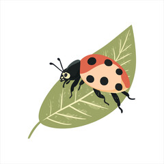 Ladybug on leaf illustration