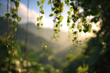 Lush vines with tiny leaves hang, sun rays filter through jungle mountain landscape