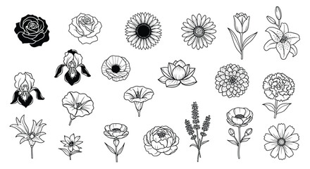 Assorted floral illustrations flowers rose