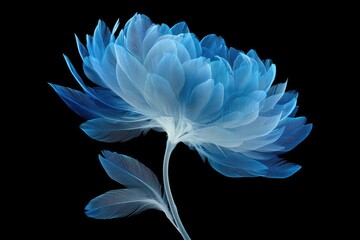 A beautifully rendered flower, its petals created with delicate feather-like details, against black