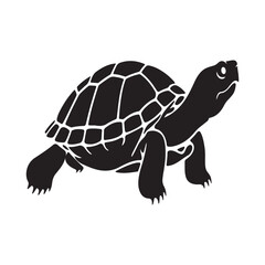 Fototapeta premium Silhouette of a Tortoise Walking with Detailed Shell Pattern