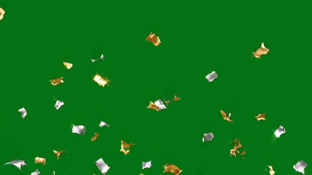 Scattered gold and silver confetti pieces falling against a solid green background with a white border at the bottom.