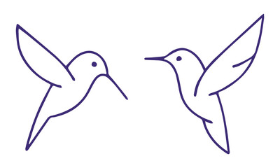 Humming bird line icon. Humming bird vector illustration. Hummingbird logo vector icon . Hummingbird silhouette vector.