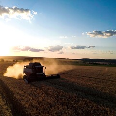 Fototapeta premium Harvester working a golden field at sunset