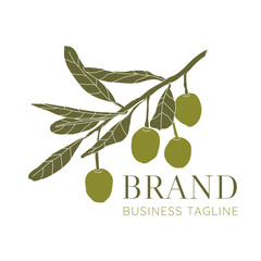 Olive Oil Brand Logo with Green Olives Branch