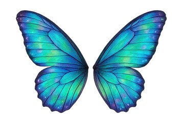 Fototapeta premium Butterfly wings showing iridescent blue and green colors