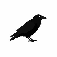 Simple Silhouette Majestic Raven Bird Illustration Graphic Element Design
