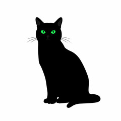 Simple Silhouette Seated Black Cat with Green Eyes Illustration