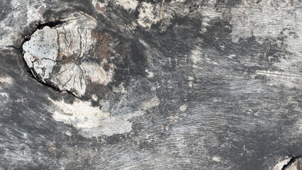 Gray old wood background texture. Abstract wooden backdrop with space for text.