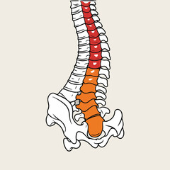 World Arthritis Day Vector Illustration Featuring Flat Minimalist Design, Joint Health, Pain Indicators, Awareness Ribbon, Exercise and Elderly Support, Perfect for Awareness Campaigns