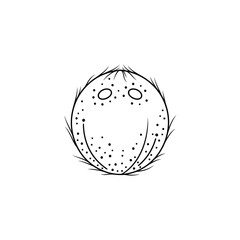 Black and White Line Art Coconut Illustration