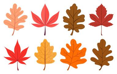 Fototapeta premium PNG Colorful autumn leaves illustration, element set on transparent background