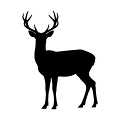 Fototapeta premium Silhouette of a majestic stag with large antlers deer