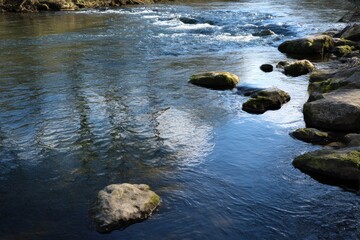 Fototapeta premium calm water flow in a river