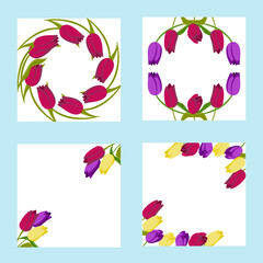 Set of tulip frames for your design. Vector illustration isolated on blue background.