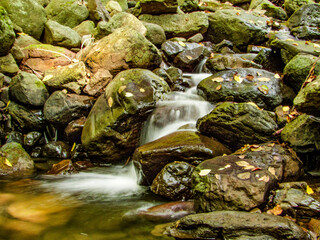 Small Waterfall Flowing Over Mossy Rocks in Forest Stream
