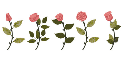 Set of dusty pink roses. Five flowers on curved stems. Vector illustration isolated on white background.