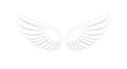 Obraz premium Pair of White Angel Wings Feathered and Symmetrical.