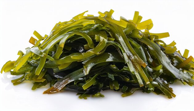 flat lay heap of green laver ulva lactuca or sea lettuce seaweed cutout