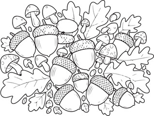 Acorns and Oak Leaves Line Art – Autumn Nature Coloring Page